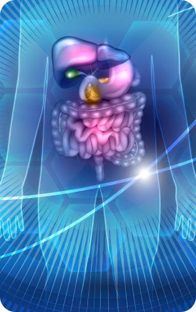 bibiotic sport helps