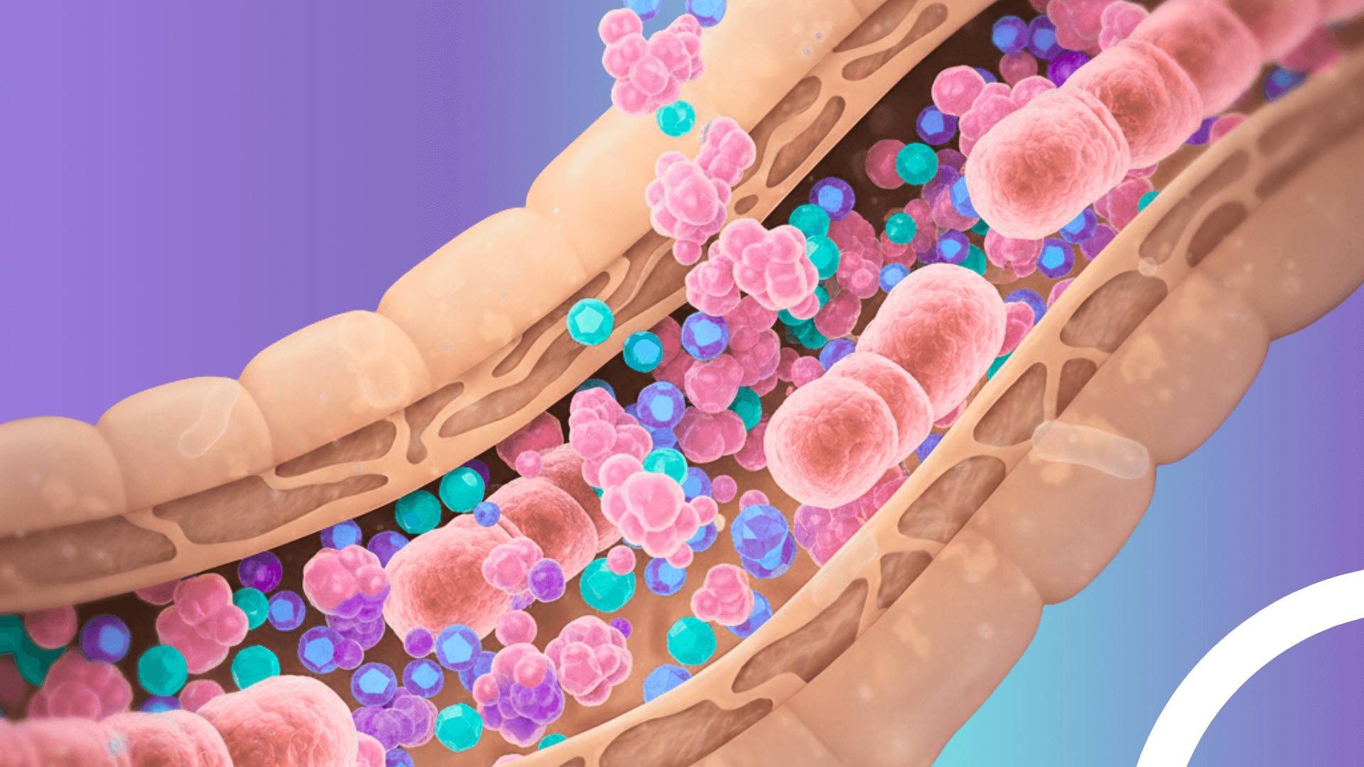 Най-добрият пробиотик за стомах и черва: Защо бъдещето принадлежи на постбиотика?